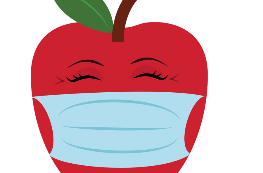 Reblog Feature: 5 Hygiene and Safety Tips on Cloth Face Mask – 2020 School Year