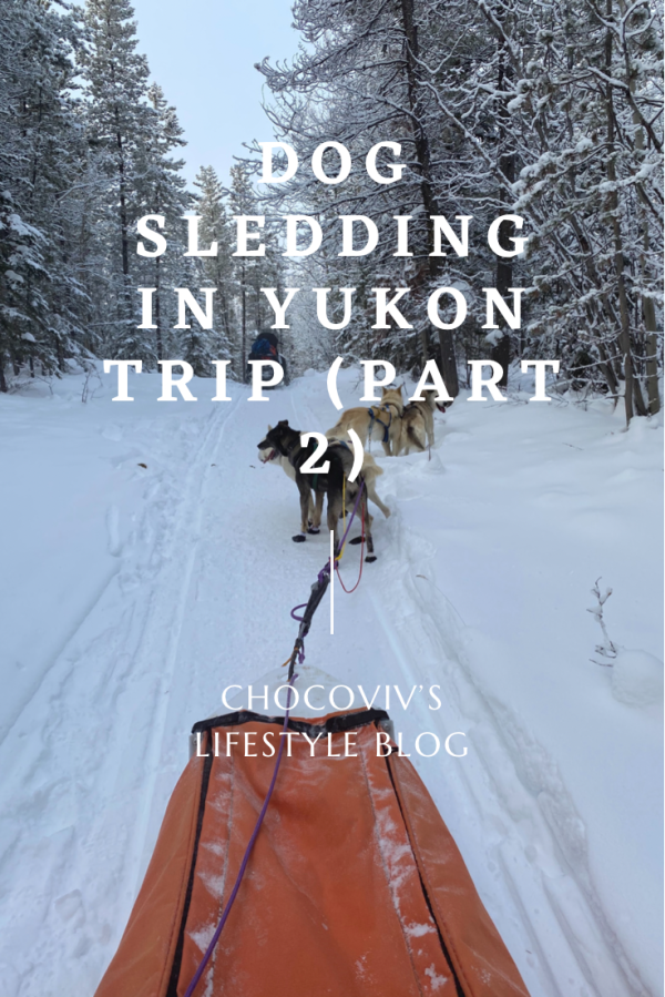Dog Sledding In Yukon Trip (Part 2)